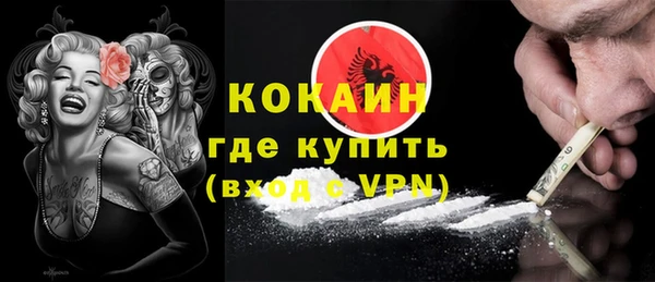 гашик Михайлов