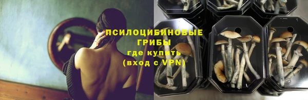 гидропоника Михайловск