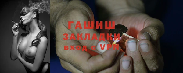 гашик Михайлов
