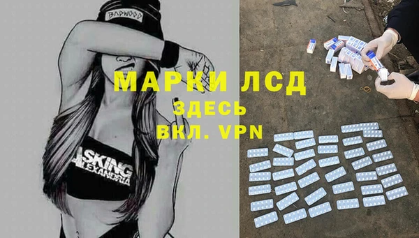 гашик Михайлов