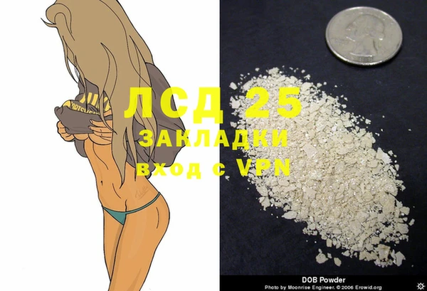 гашик Михайлов