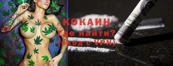 гашик Михайлов