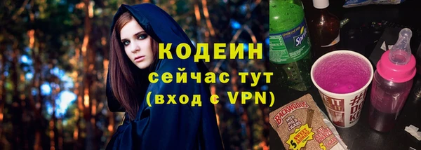 гашик Михайлов
