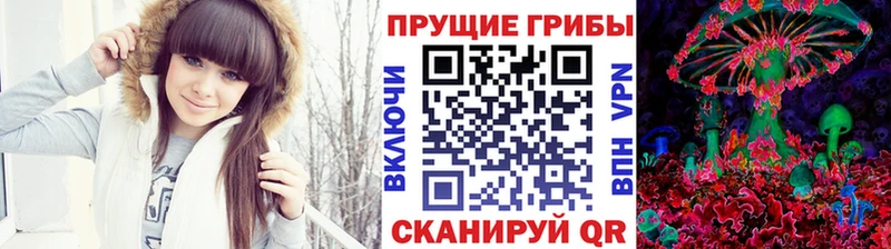 Псилоцибиновые грибы мицелий где купить наркотик Ядрин
